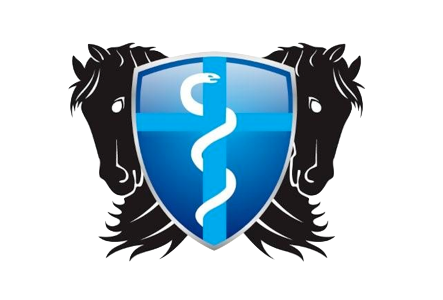 Veterinarian Dr. Ilse Van den Broeck